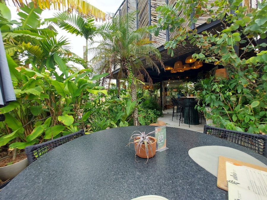 Abô Botânica e Café — Ville Des Plantes, Jd. Oceania