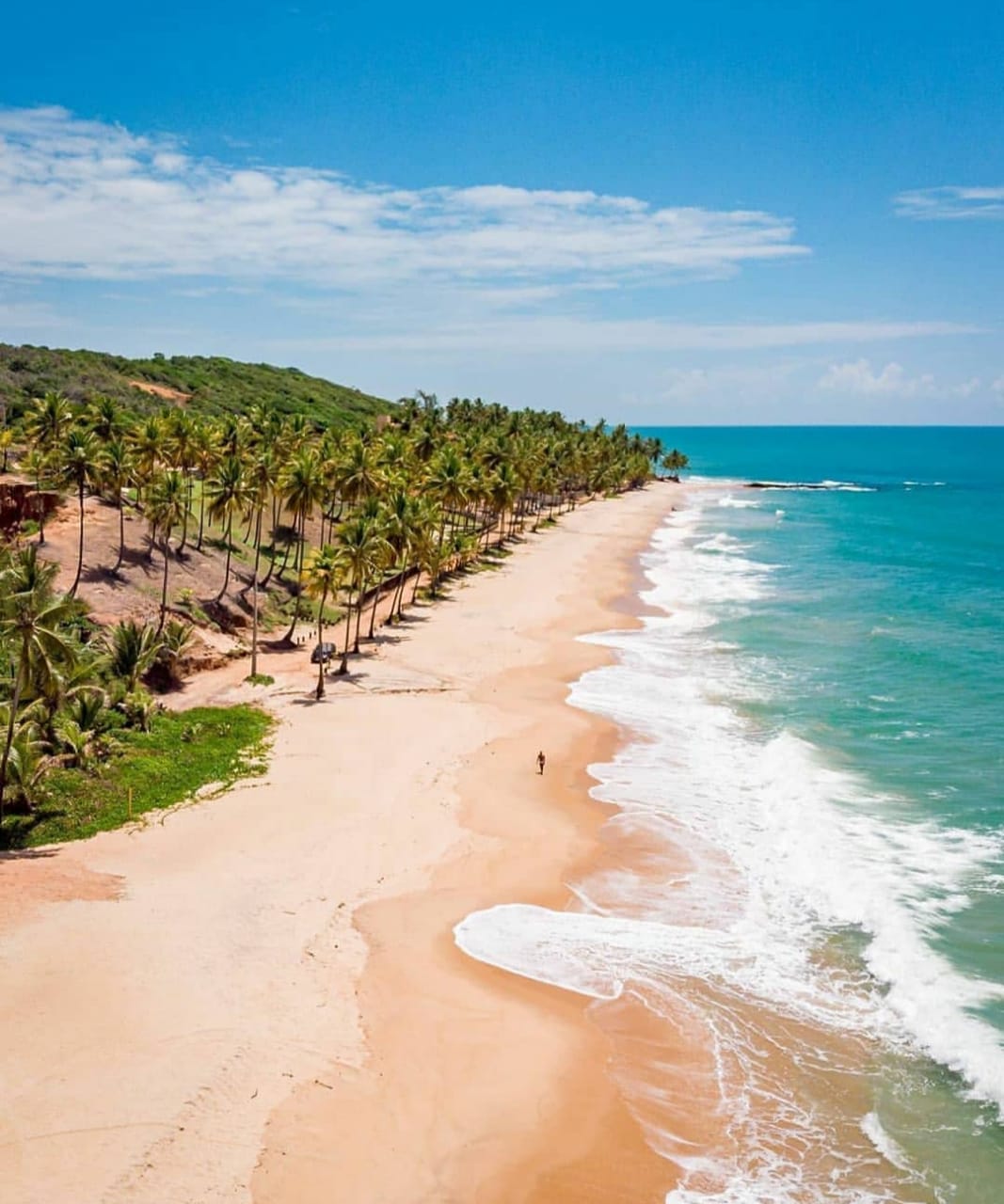 Falésias e coqueiros na praia de Coqueirinho, no litoral sul da Paraíba