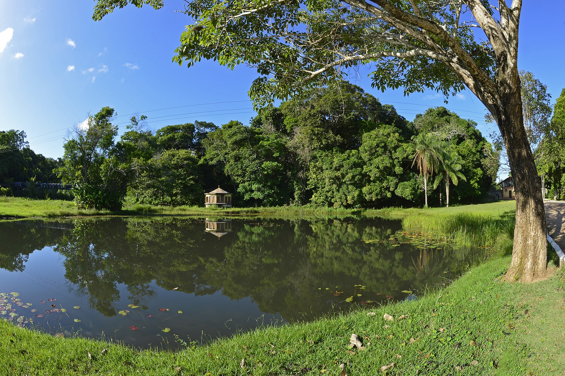 Trilha em meio à mata do Jardim Botânico Benjamim Maranhão, a Mata do Buraquinho